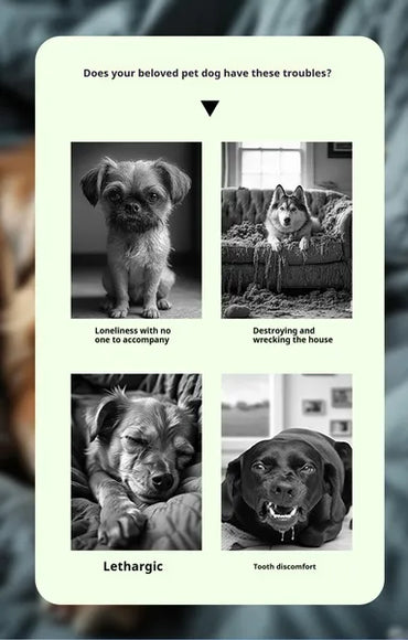 Pet Interactive Sound Ball,The Mellow Dog Cat Pet Voice Ball,Interactive Pet Squeaky Toys