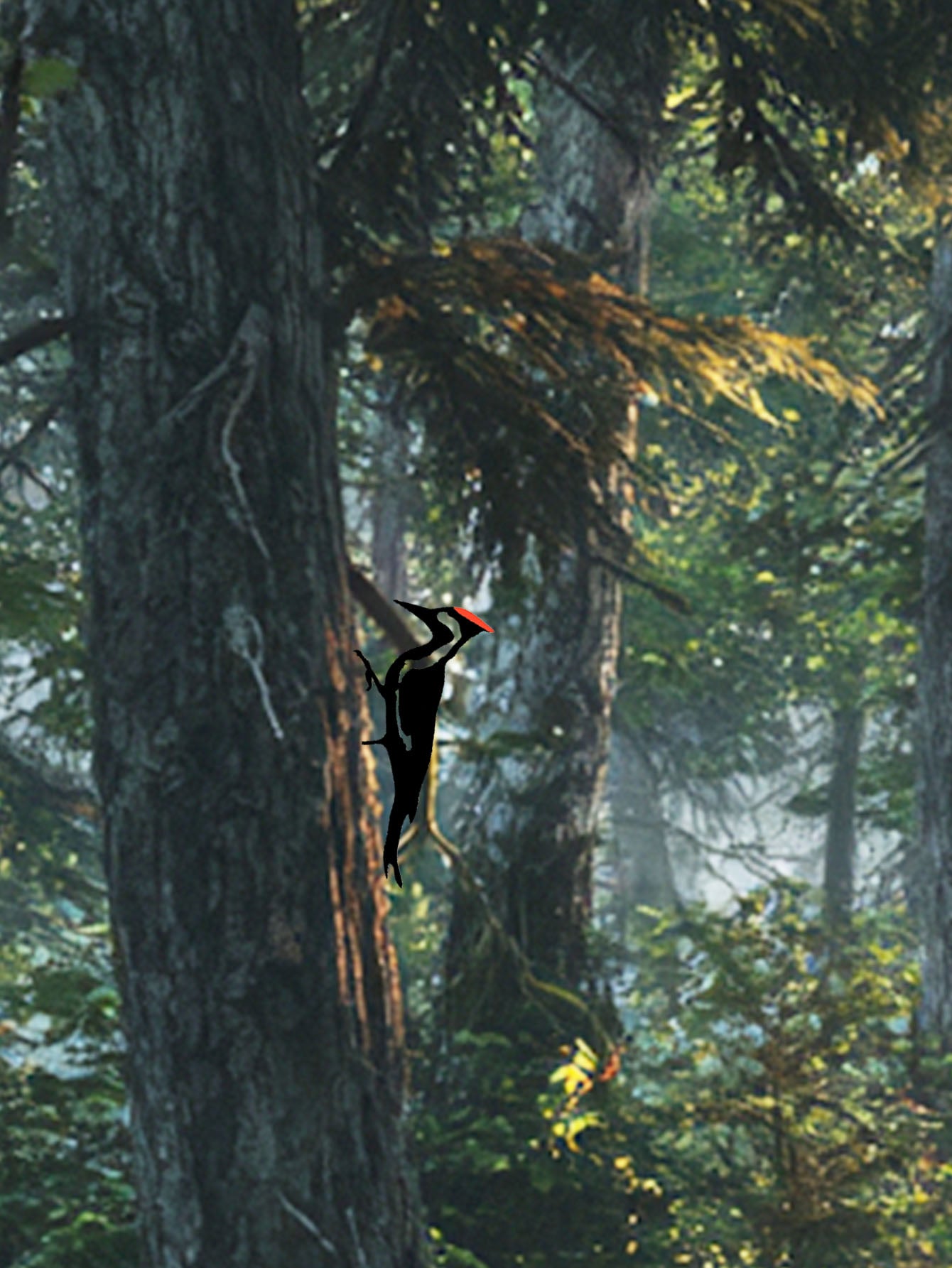 Metal Woodpecker Wall Art - Rust-Resistant Outdoor Decor For Garden & Patio