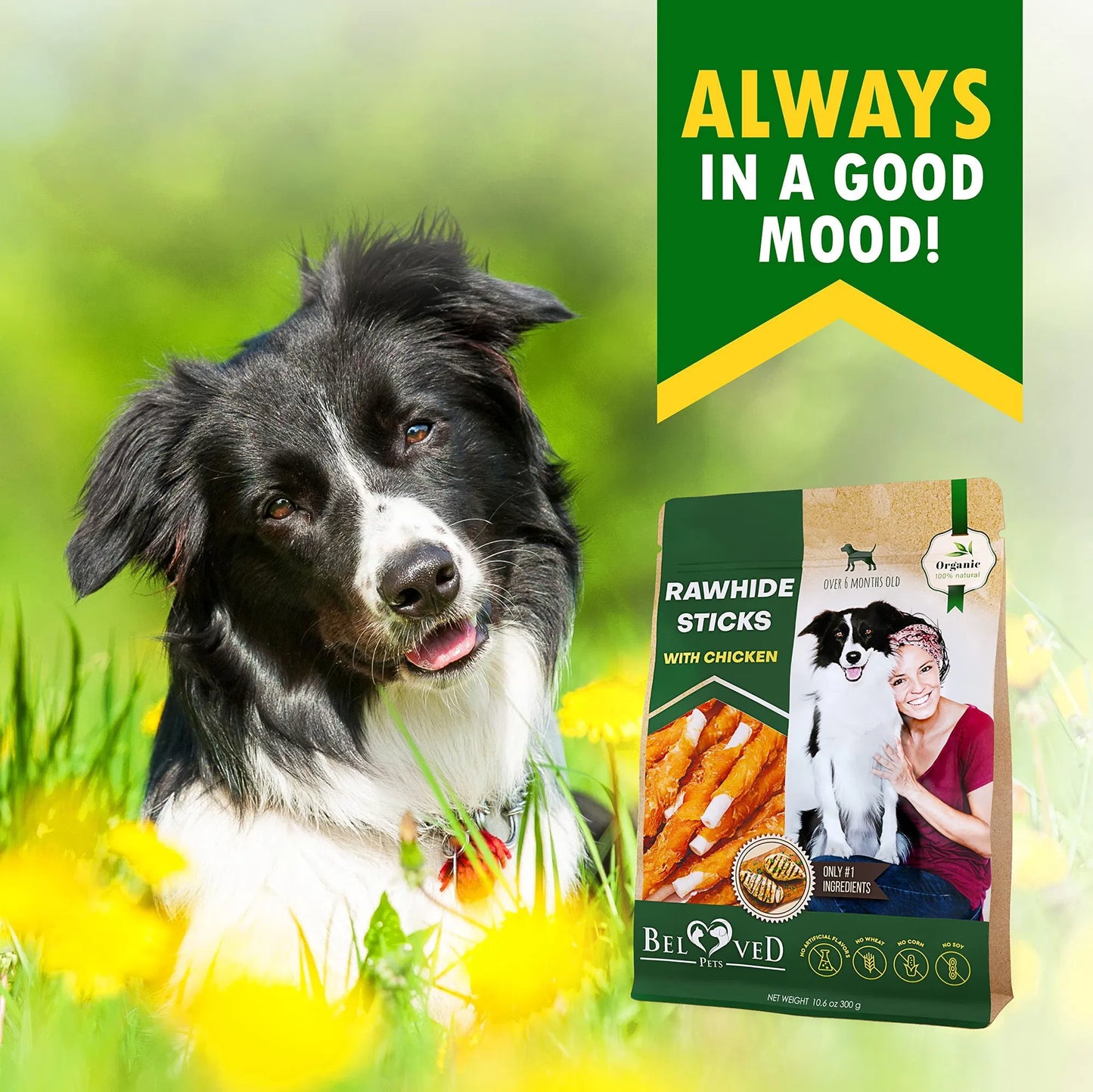 Dog Sticks Wrapped With Chicken & Pet Natural Chew Treats Grain Free Organic Meat & Human Grade Dried Snacks In Bulk For Training Small & Large Dogs